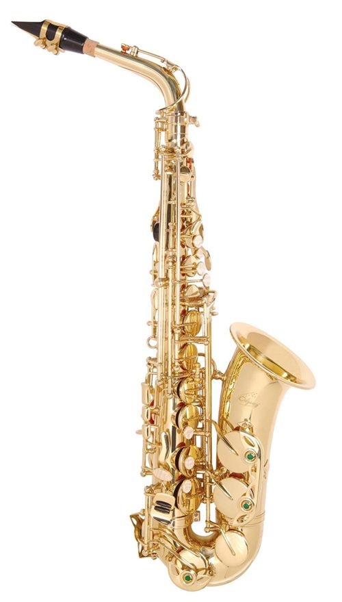 TJ3722G Alto saxophone